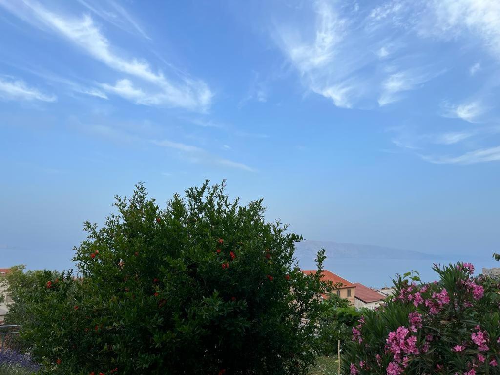 Apartment Verda Senj  Esterno foto